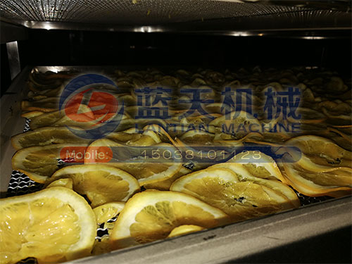 廣西水果烘干機(jī)用戶現(xiàn)場