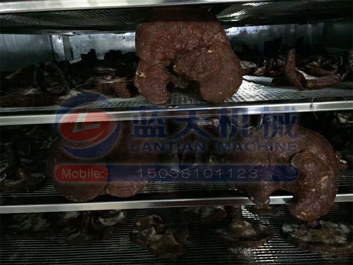 青海熱泵烘干機用戶現(xiàn)場