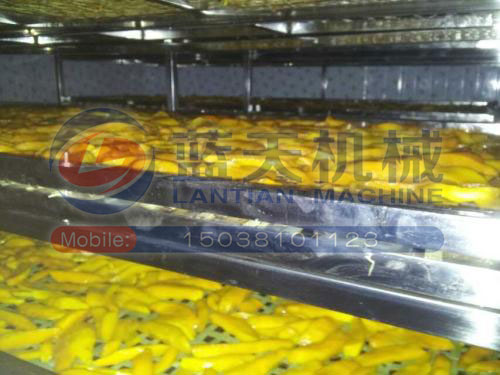 福建空氣能熱泵烘干機(jī)用戶現(xiàn)場