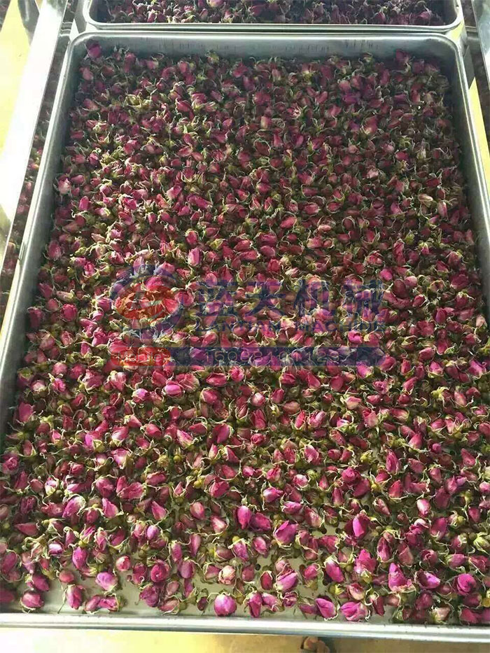 云南玫瑰花烘干機(jī)用戶現(xiàn)場