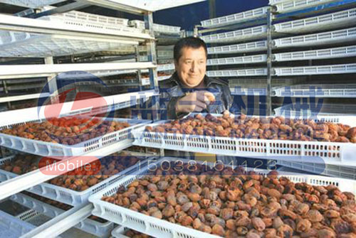 新疆杏干烘干機(jī)用戶現(xiàn)場