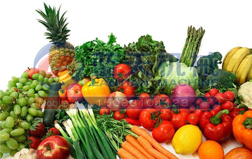 蔬菜烘干技術解決方案