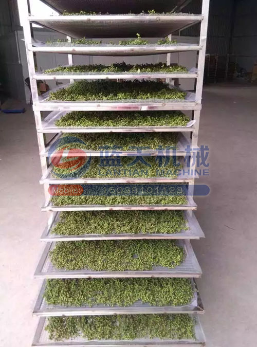 花椒烘干技術解決方案