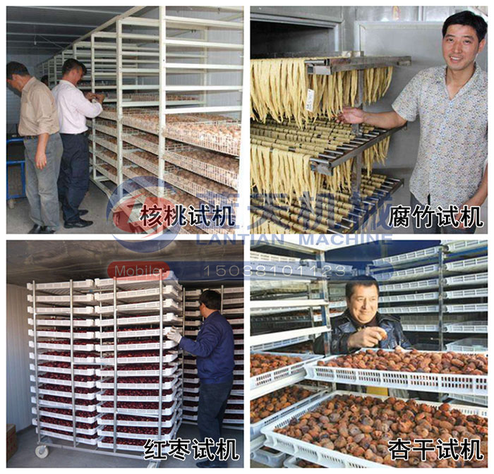 核桃烘干機(jī)試機(jī)現(xiàn)場(chǎng)